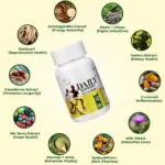 DAILY SUPPORT - Image 4